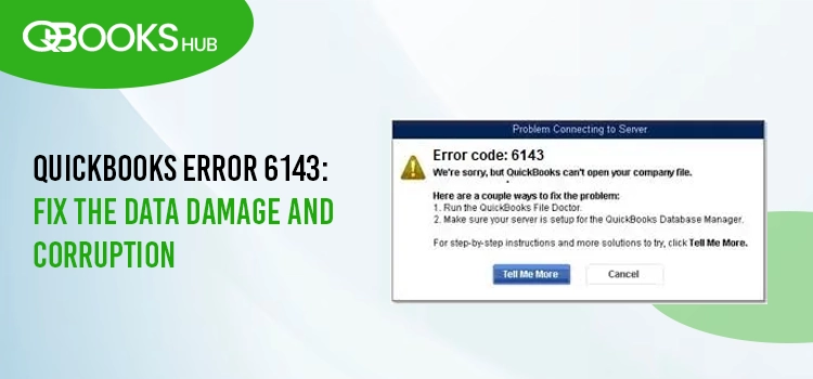 QuickBooks Error 6143